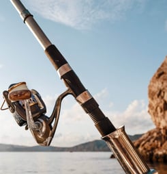 International Day For The Fight Against Illegal Unreported And Unregulated Fishing