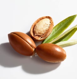 international day of argania