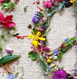 International Peace Month