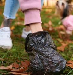 international pooper scooper week