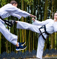 International Taekwondo Day