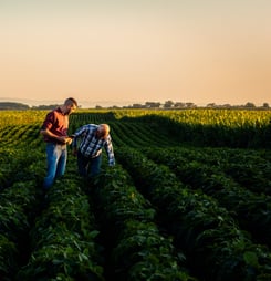 national agriculture day