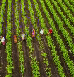 national agriculture week