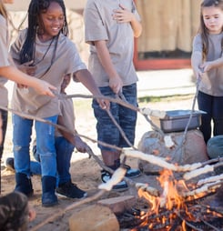 National Camp Counts Day