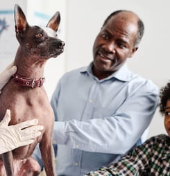 national canine lymphoma awareness day