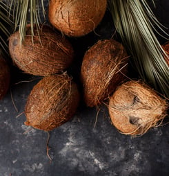 national coconut day