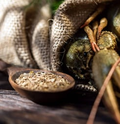 national crawfish day