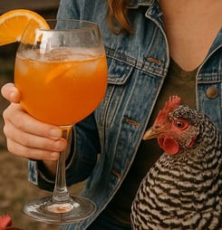 national drinking with chickens day