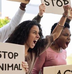 national justice for animals week