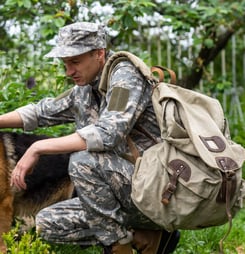 national pets for veterans day
