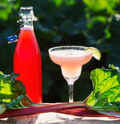 national rhubarb vodka day
