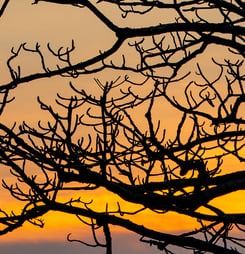 national sky awareness week