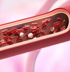 national triglycerides day