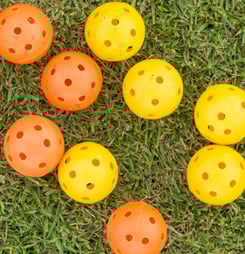 National Wiffle Ball Day