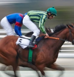 palio horse race in siena