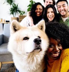 responsible animal guardian month