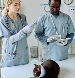 spray neuter awareness month