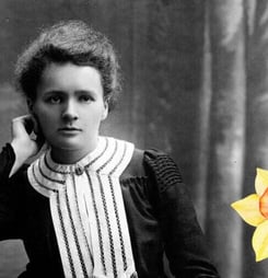 the great daffodil appeal