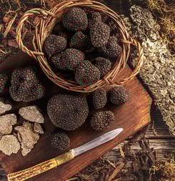 truffle days in croatia