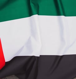uae national day