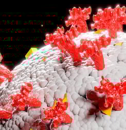 world amr awareness week