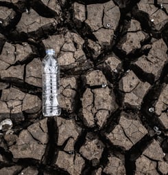 world day to combat desertification and drought