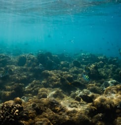 world hydrography day