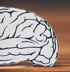 world meningitis day