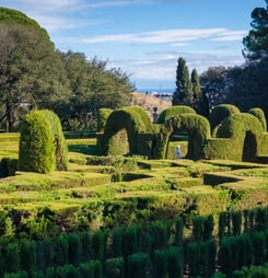 world topiary day
