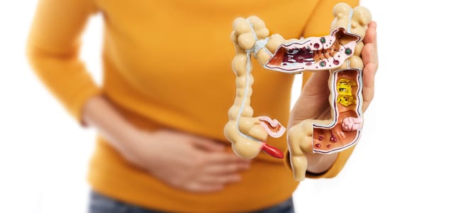 world inflammatory bowel disease day