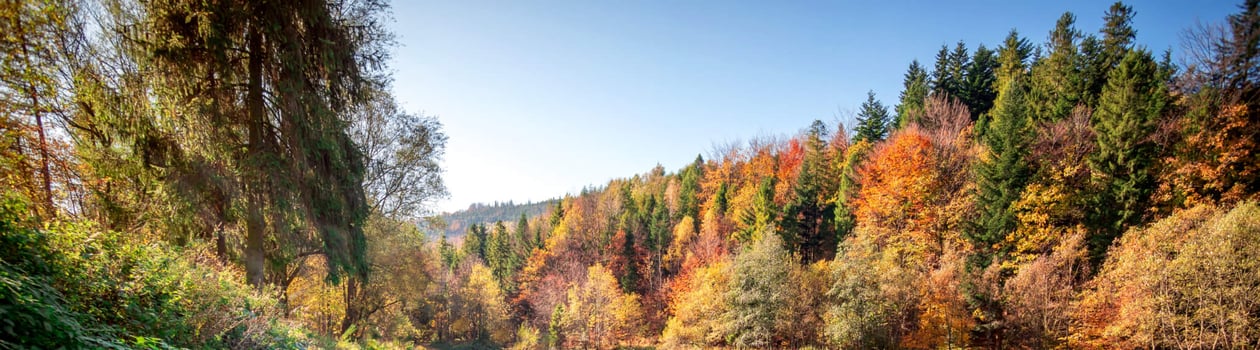 National Airboat Day