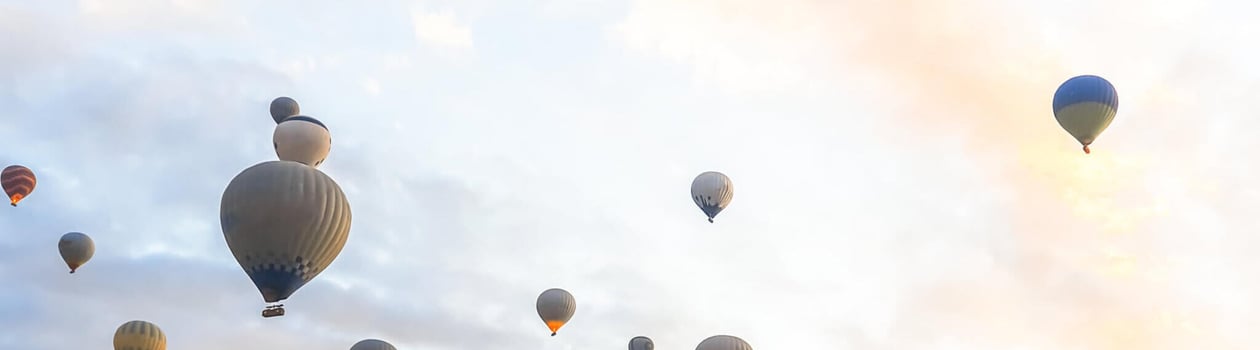 bristol balloon fiesta