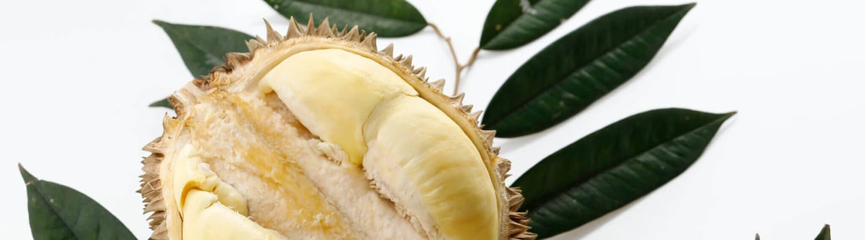 durian fruit day