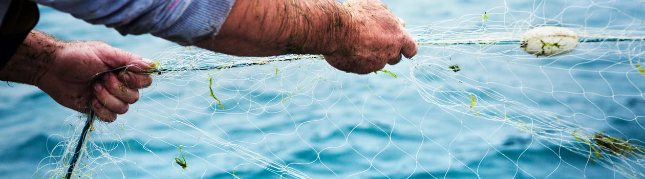 International Day For The Fight Against Illegal Unreported And Unregulated Fishing