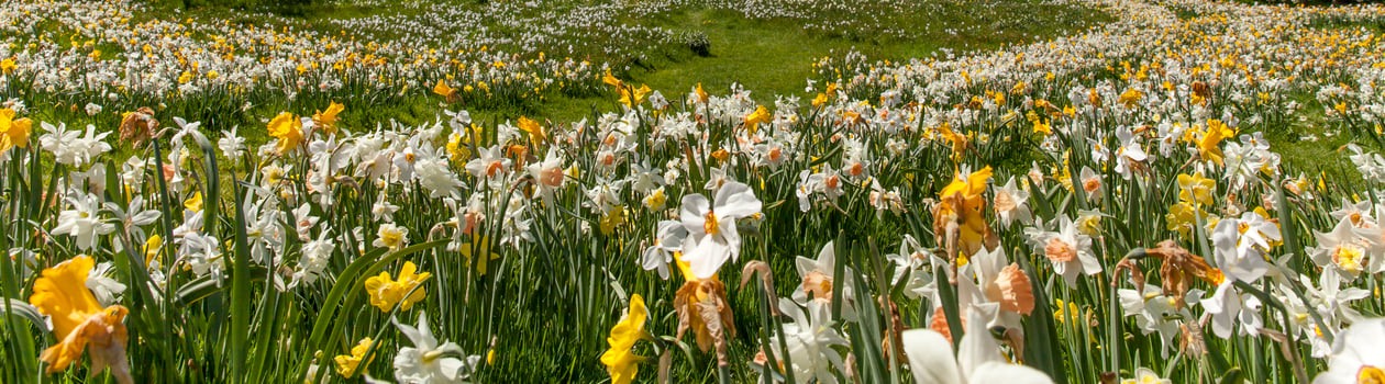 march equinox