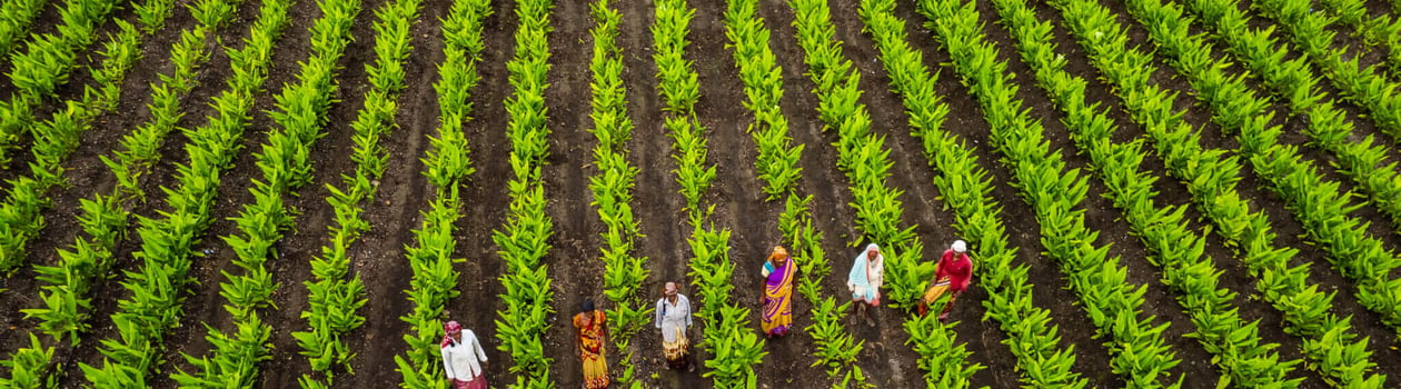 national agriculture week