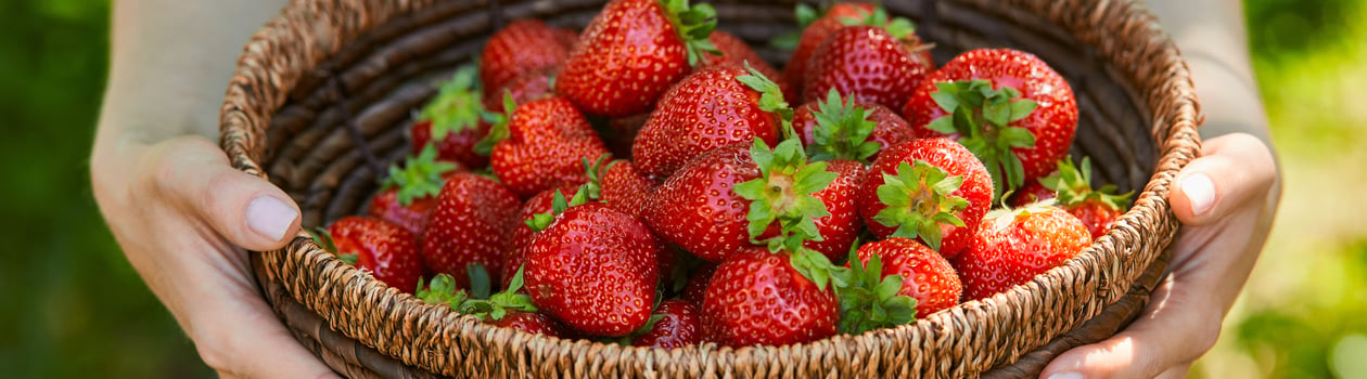 national california strawberry day