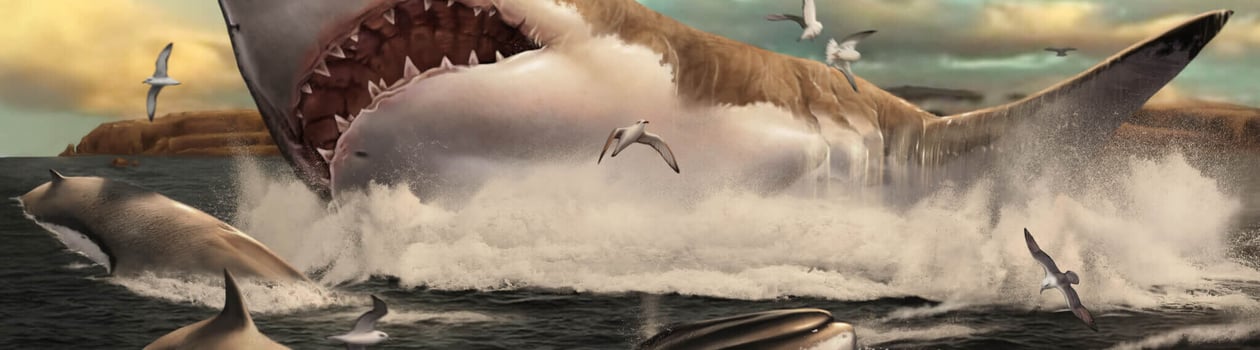 national megalodon day