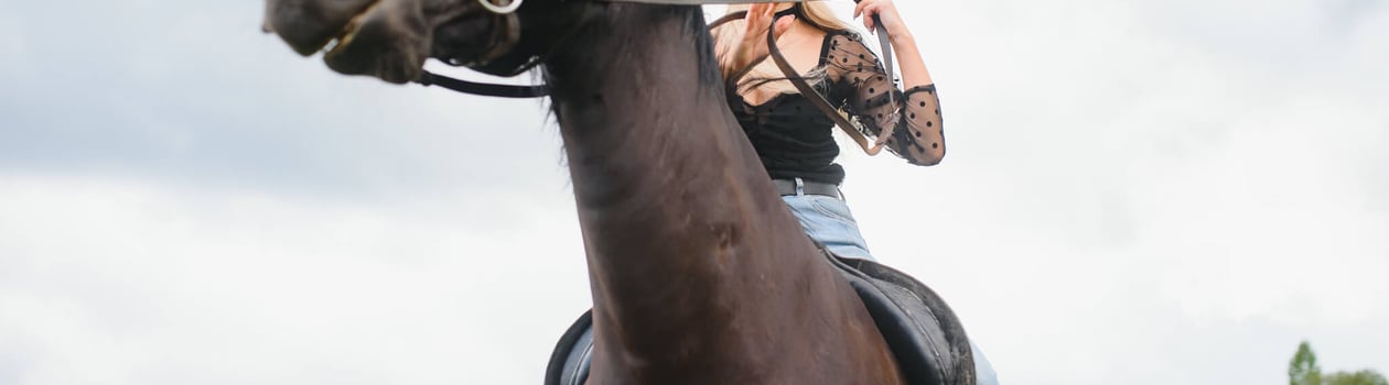 national ride your horse to a bar day