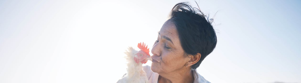 national snuggle a chicken day