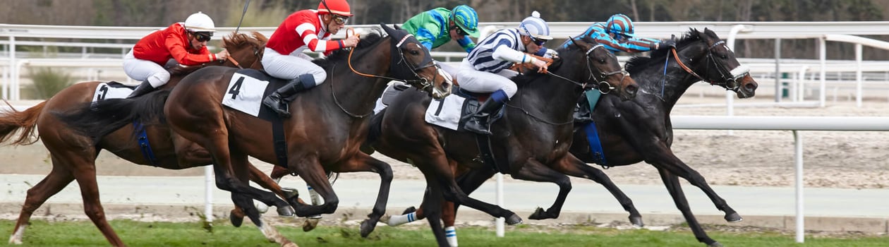 preakness stakes