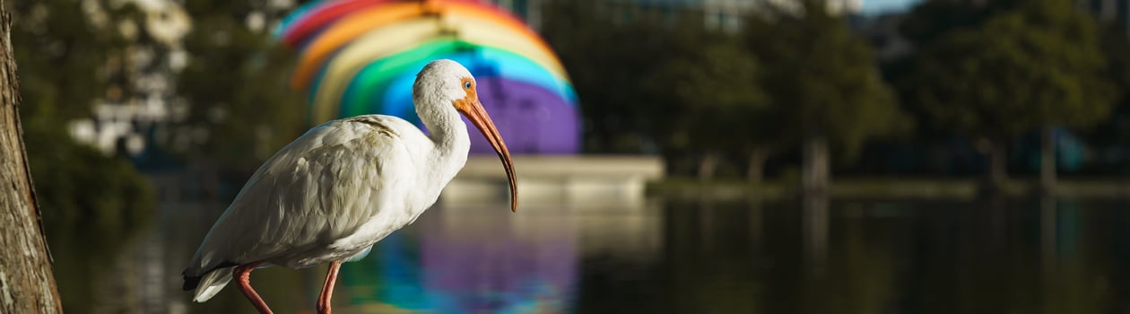urban wildlife conservation day