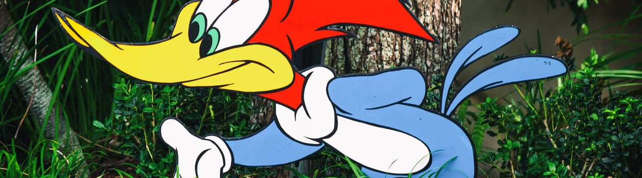 woody woodpecker day