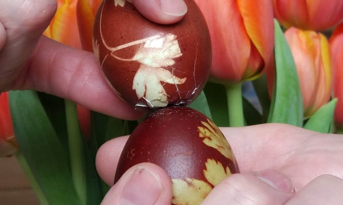 egg cracking competition