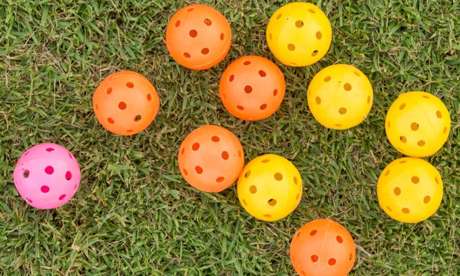 National Wiffle Ball Day