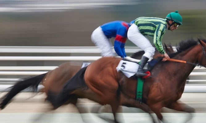 palio horse race in siena