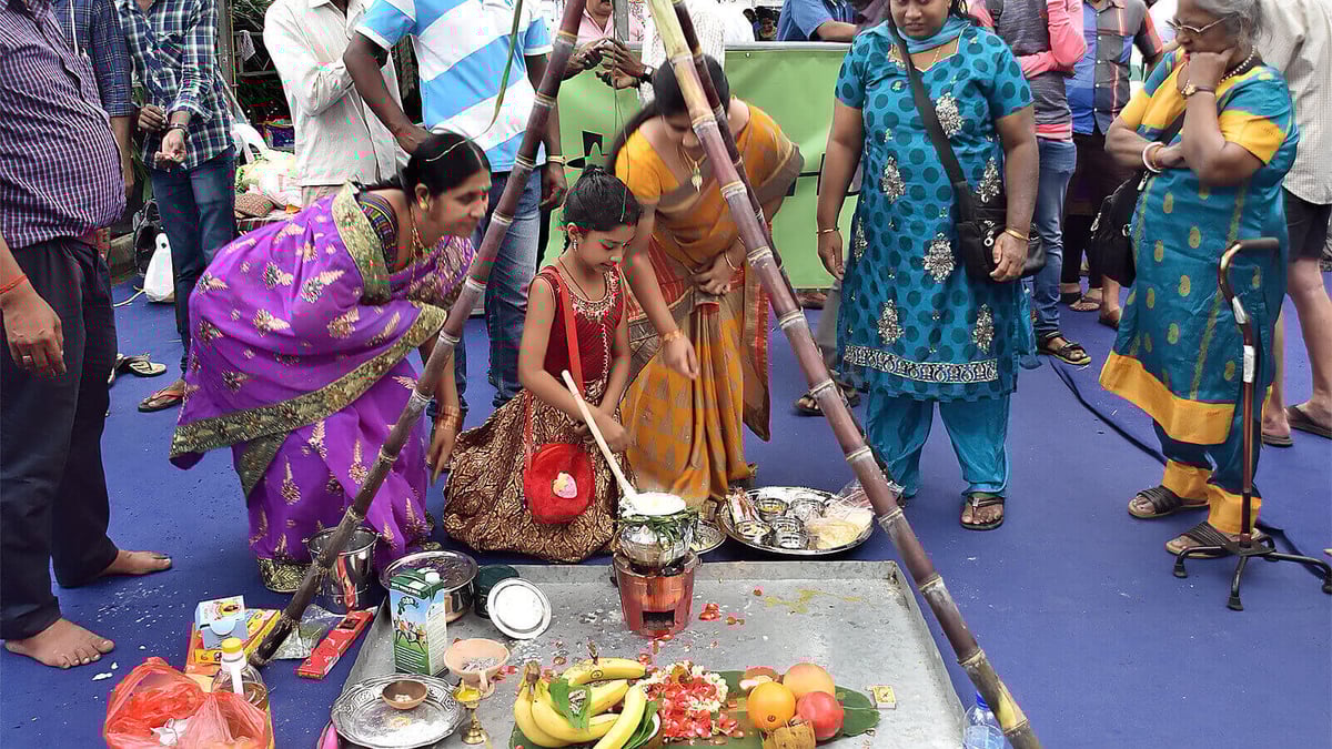 Pongal In Jan 2025 Angil Giuditta