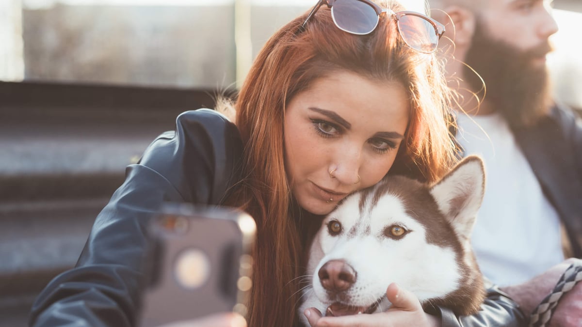 National Dog Photography Day (July 26th) Days Of The Year