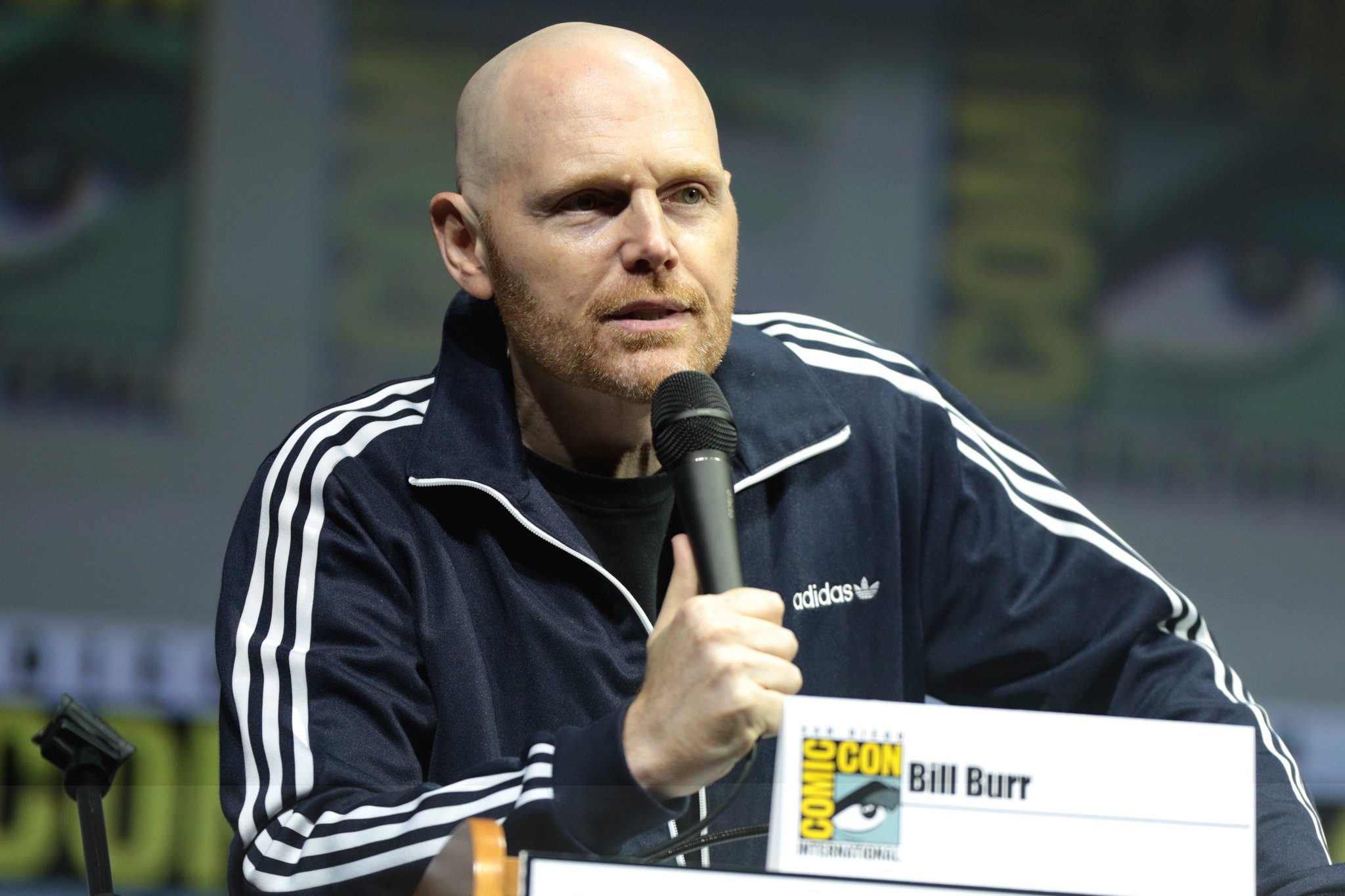 Bill Burr's birthday (Jun 10th, 1968) | Days Of The Year, image size:2048x1365