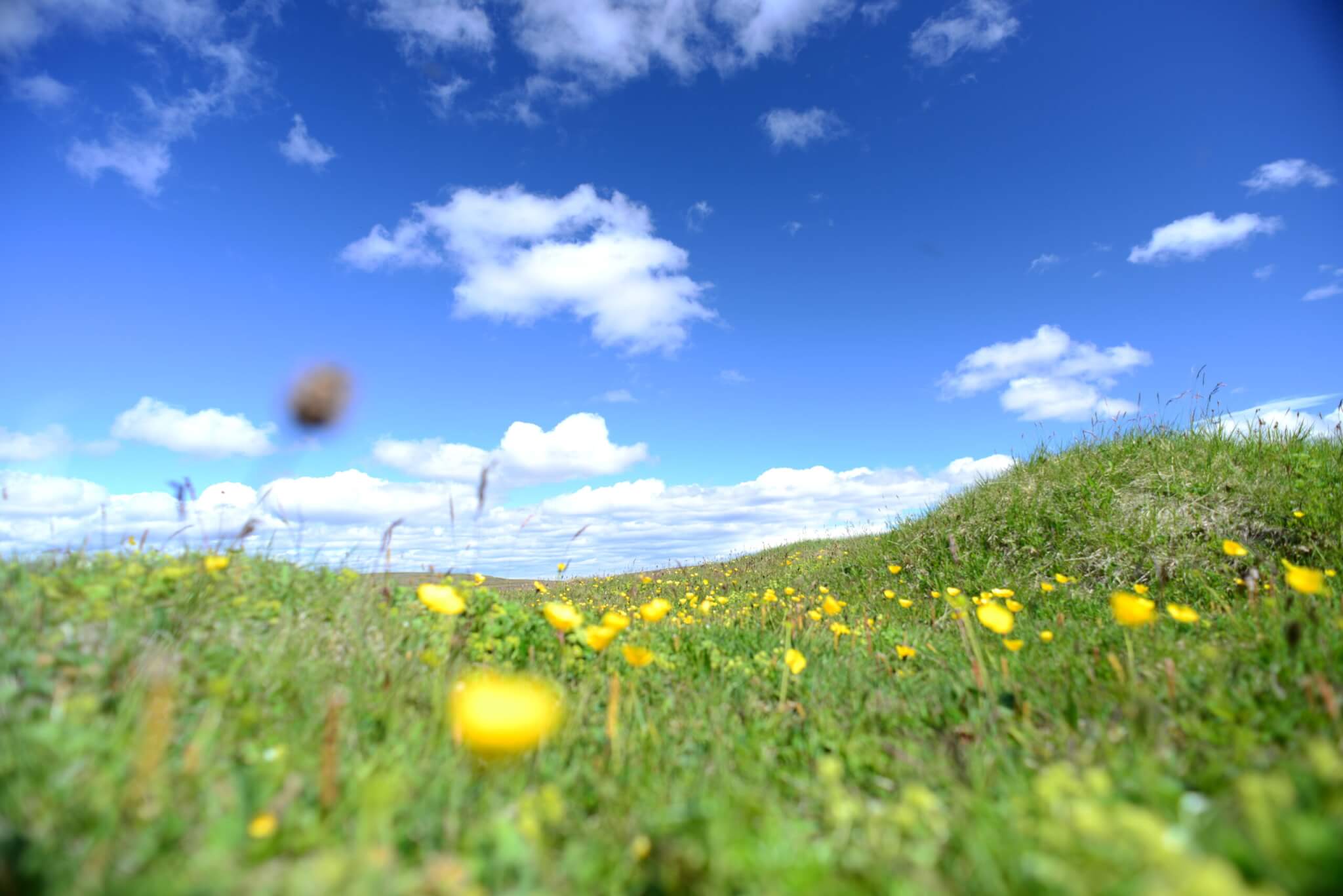 Why Your Couch Might Be Jealous of Your Next Outdoor Adventure